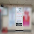플라잉에잇주