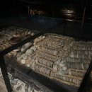 평화로 43번길 | [목포] 4인 가족 - 1박 2일 여행 1일차