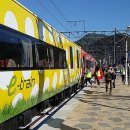 철암장터 이미지