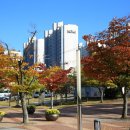 조례호수공원 이미지