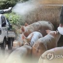 이남농장 이미지