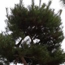 사구농장 이미지