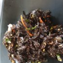 채석강수산식당
