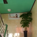 사파리모텔 이미지