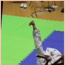 경희대 최강 태권도장 이미지