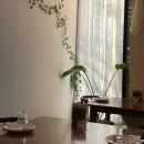 당일ㅊㅣ기 대전