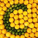 하얀피부 이미지