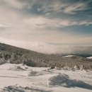 2월20일(수)21일(목) 한라산 눈꽃산행및 송악산트레킹 이미지