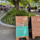 꽃 보러 떠나는 세계여행(2) 이미지