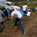 광문중학교 이미지