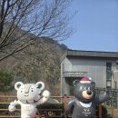 동강할미꽃마을 | 동강 백운산 최단코스 (문희마을 원점회귀) 후기 #동강할미꽃 서식지 관찰까지❤️