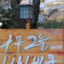 나무그늘아래 이미지