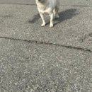 GS25봉명스타 이미지