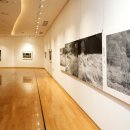 [2025년 상반기]한국화 이미지