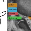 다솜고양이메디컬센터 이미지