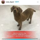 포인핸드 이미지