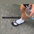 Team Shark 이미지