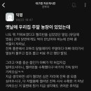 젤리빈 이미지
