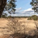 애니카랜드 송강점 이미지