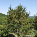 백송농장 이미지