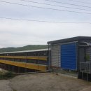 천마리농장 이미지