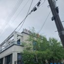 김유정역 닭갈비 | 춘천 김유정역 닭갈비 맛집 '한가족숯불닭갈비'/춘천 숯불 닭갈비 맛집