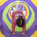 대원 명문 태권도장 이미지