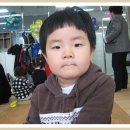 민영목장 Daum카페