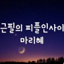 피플인사이트