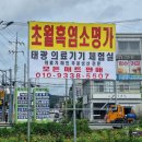 천일흑염소