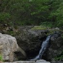 명개
