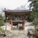 순천-65호 이미지