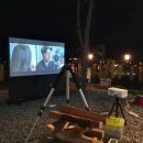 스테이독 이미지