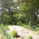 구.교하중 이미지