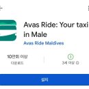 몰디브 말레 공항 근처 호텔 파인롯지 후기