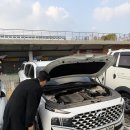 TM모터스 | 제주도 자동차 매입, 급한 일정도 가능한 신세계모터스 무료출장 후기