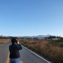 하례교차로 | 제주도 풍경 예쁜 산방산 유채꽃, 쇠소깍