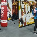 로드복싱 이미지