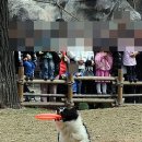 제일머리 이미지