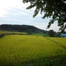 부안시민발전소 이미지