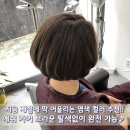 봄날애헤어 네이버블로그