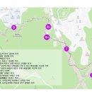 도시숲 산책길 이미지