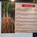 거시기함흥냉면 이미지