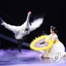 창작공연행사 연합뉴스