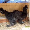 미니농장 이미지