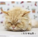 담비살롱 - 광진구 | 담비살롱