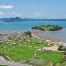 바닷가 숲속 이미지