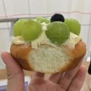 토이짱 이미지