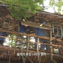 수요기획 이미지