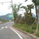 대교횟집 이미지